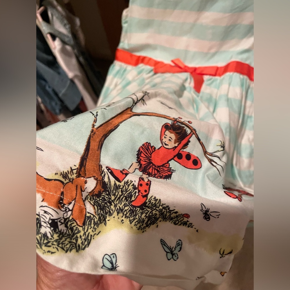 Ladybug Girl size 4T dress